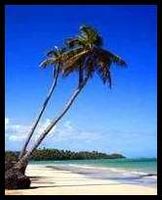 Apart-Hotel CASA LILY AND COCO Las Terrenas - Dominican Republic